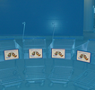 Компания «Promobox Kazakhstan»