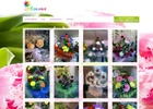 Creative web-Studio